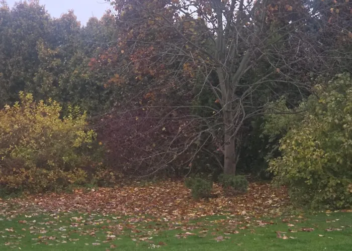 Plebanka Apartment *